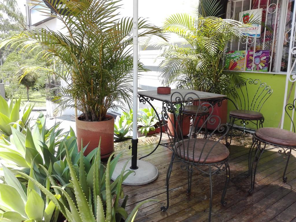 Spring City Hostel Medellín Kültér fotó